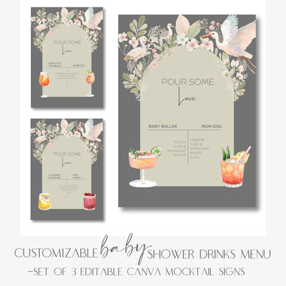 Digital Shower Template Baby Invitation Design Package Party Decoration Floral Accent Sage Green Nursery Theme Baby Shower Gift Set Canva