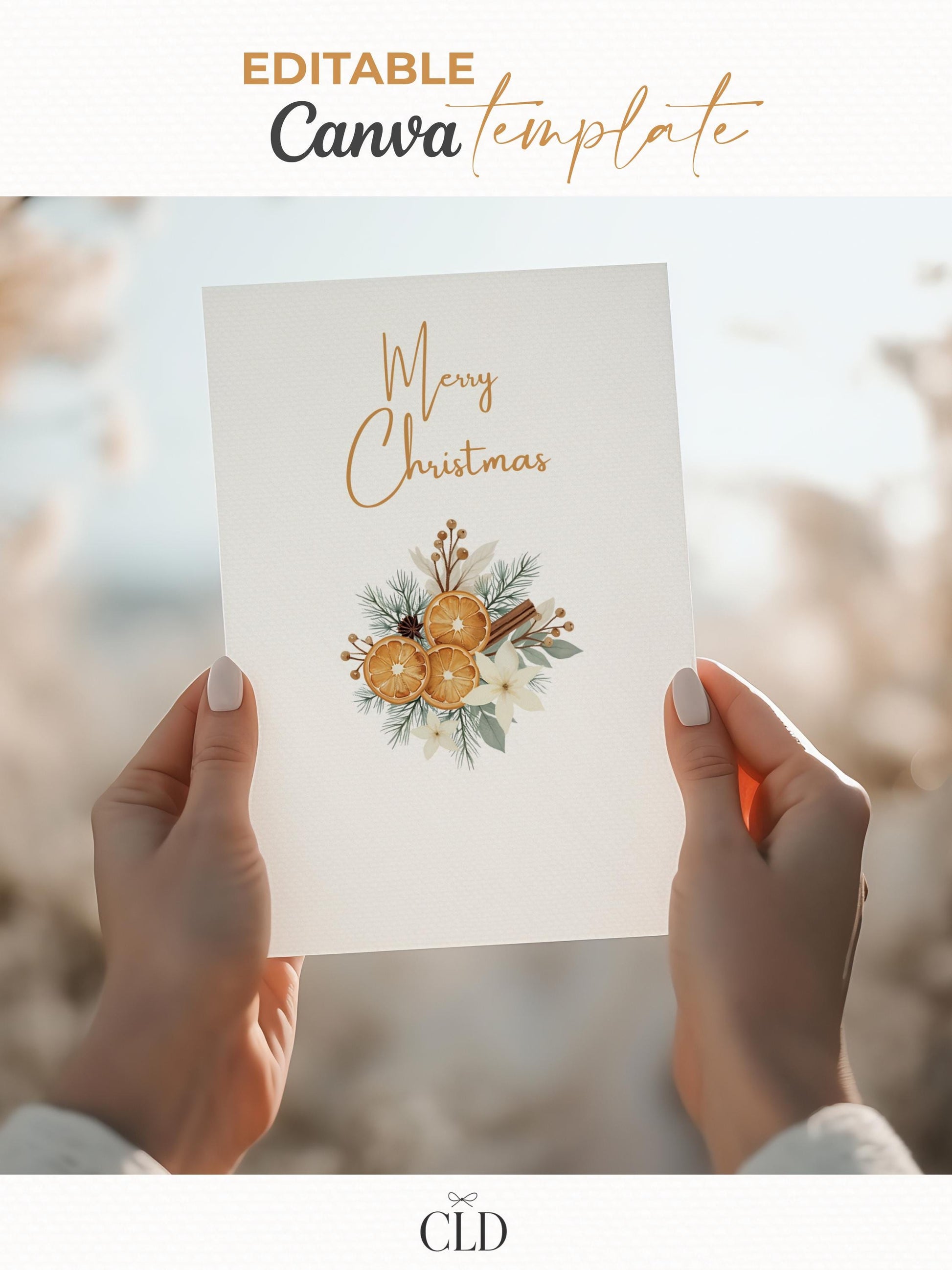 Editable Christmas Card with Newsletter - Cozy Rustic Holiday Card Template, Canva Printable, Family Photo Update, Digital Greeting