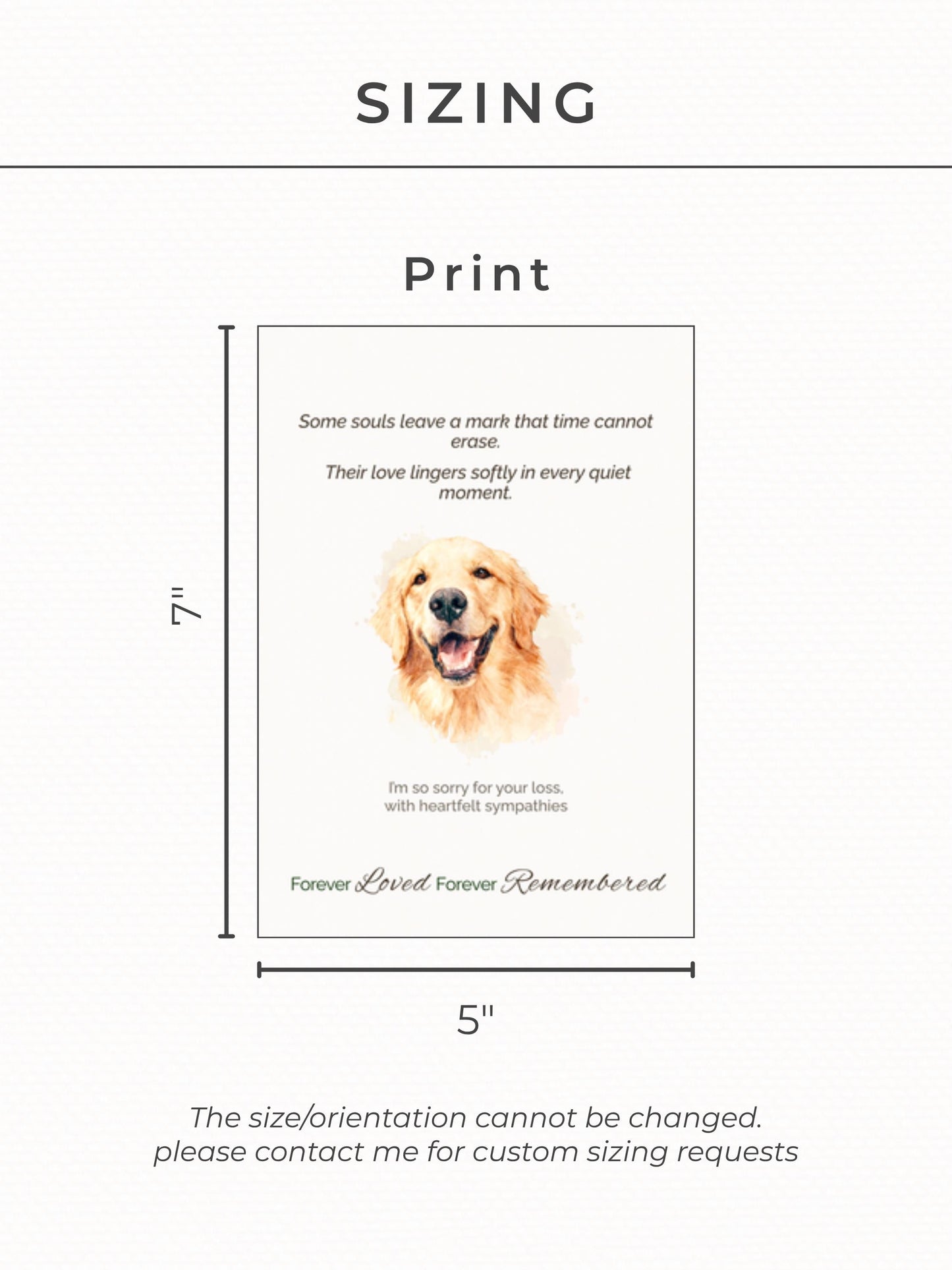 Custom Pet Sympathy Card & Watercolor Portrait Keepsake - Pet Loss Memorial Gift -Personalized Pet Bereavement Card-Editable Canva Template