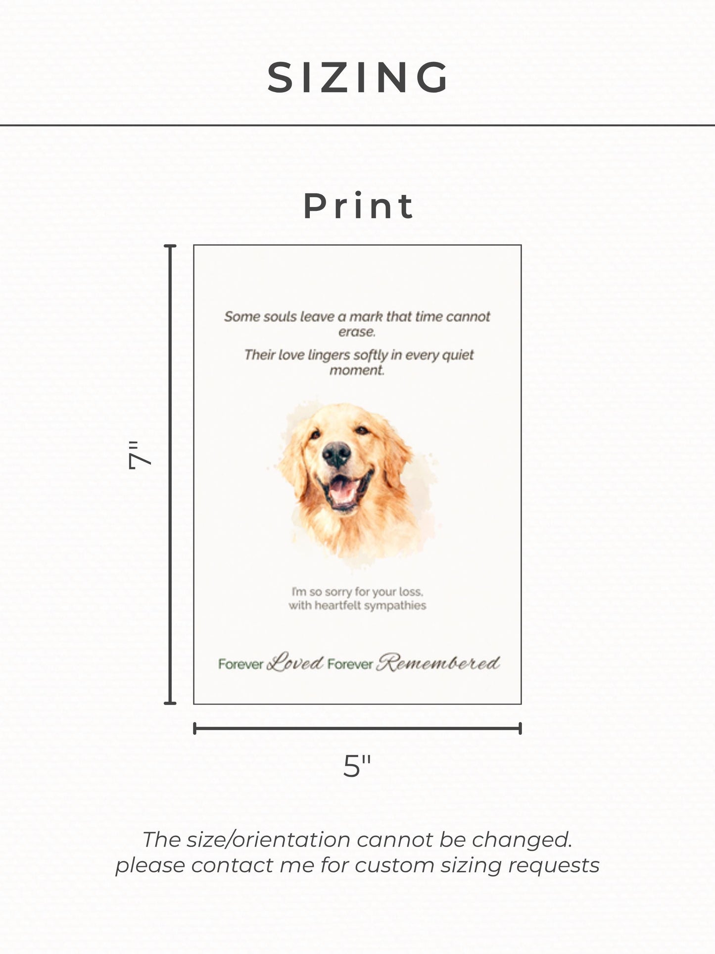 Custom Pet Sympathy Card & Watercolor Portrait Keepsake - Pet Loss Memorial Gift -Personalized Pet Bereavement Card-Editable Canva Template