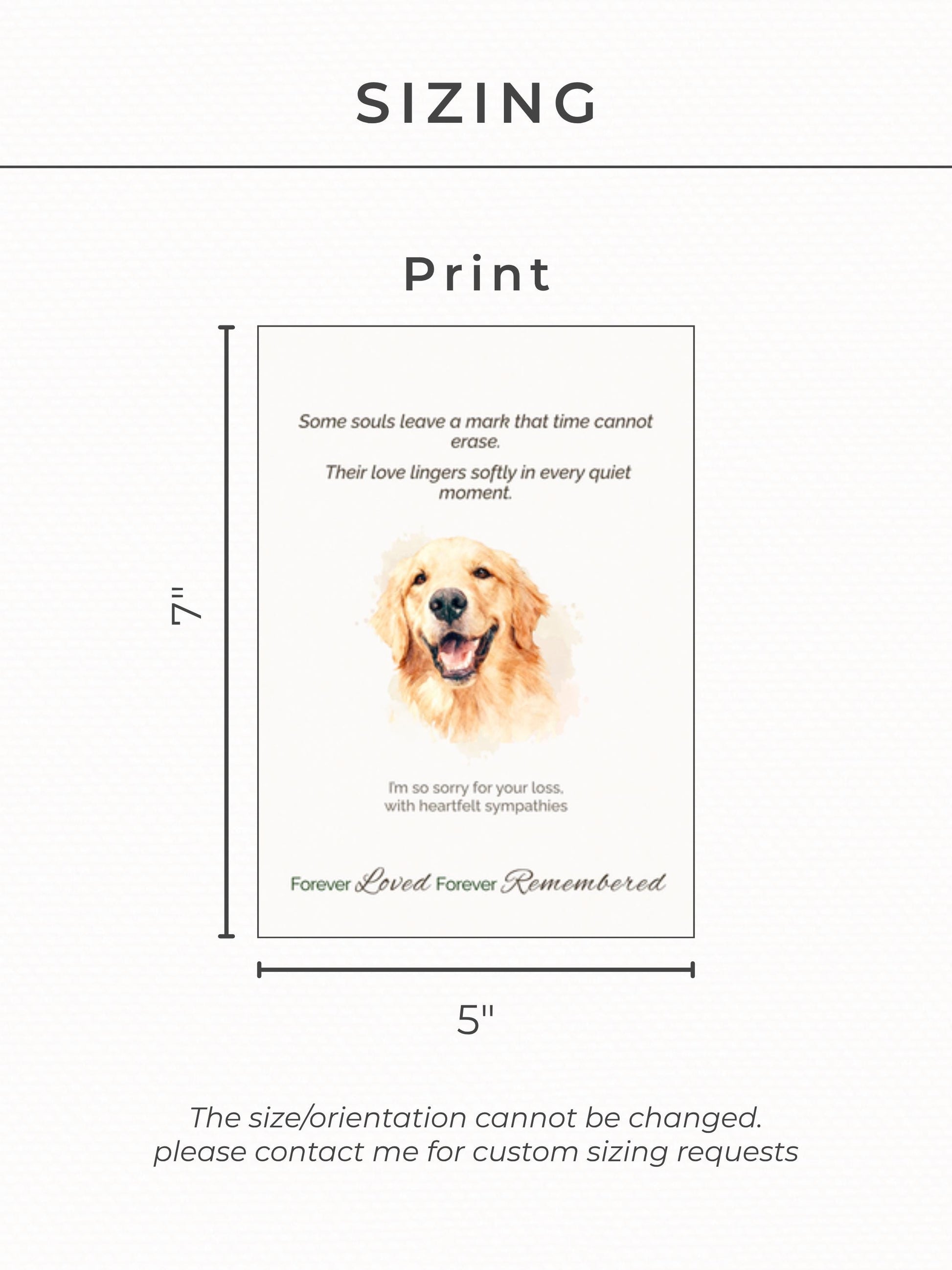 Custom Pet Sympathy Card & Watercolor Portrait Keepsake - Pet Loss Memorial Gift -Personalized Pet Bereavement Card-Editable Canva Template