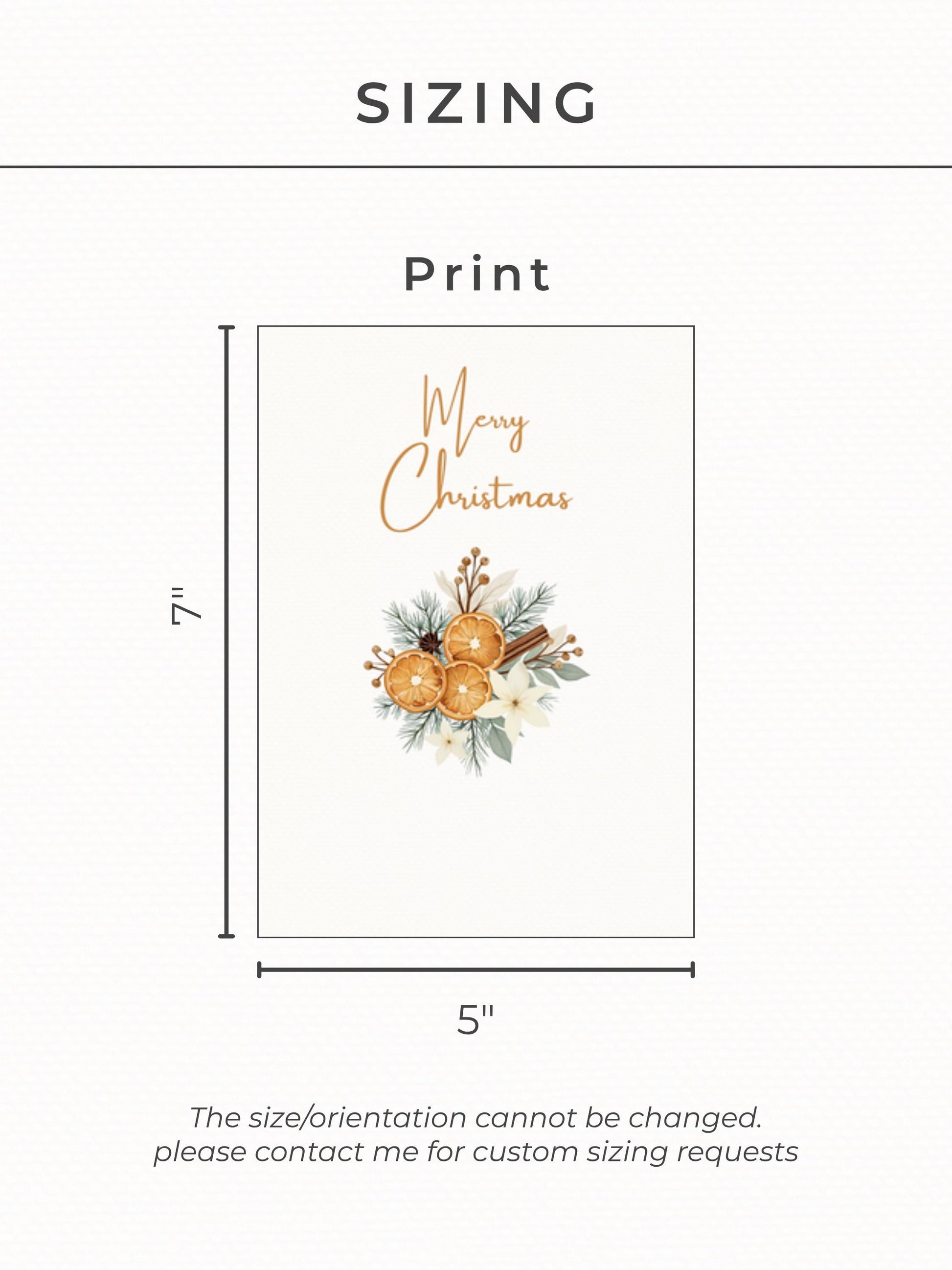 Editable Christmas Card with Newsletter - Cozy Rustic Holiday Card Template, Canva Printable, Family Photo Update, Digital Greeting